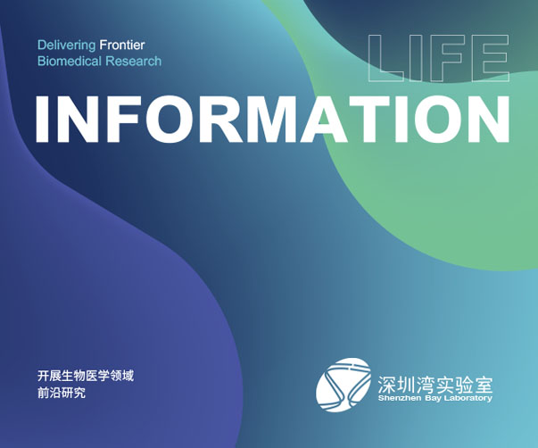 市集主VI設計_打造獨特品牌形象_提升市集主的知名度與競爭力