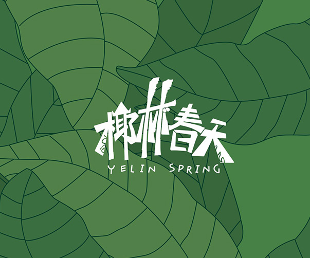 寧海vi設計公司_專注創意與品牌塑造_打造個性化視覺形象